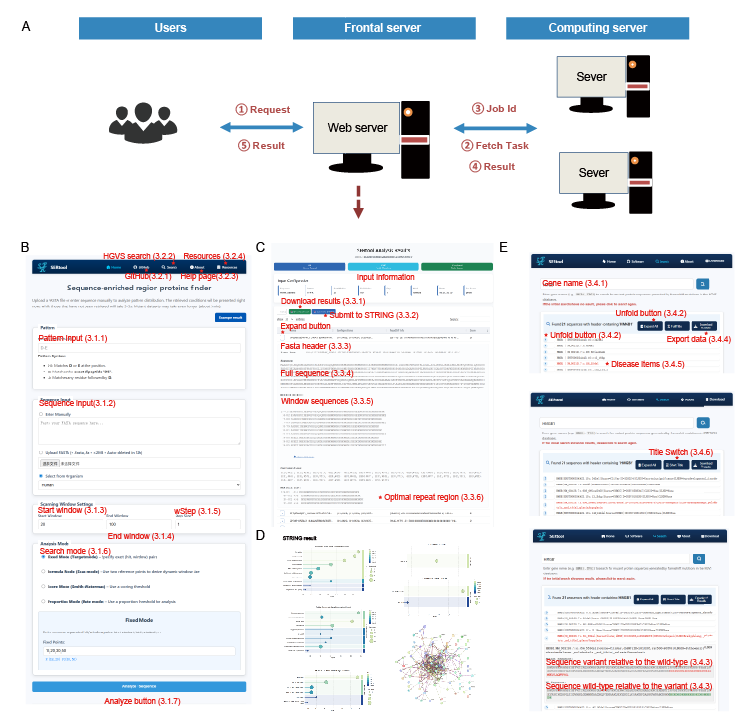 Workflow of SERtool and Sample Page
