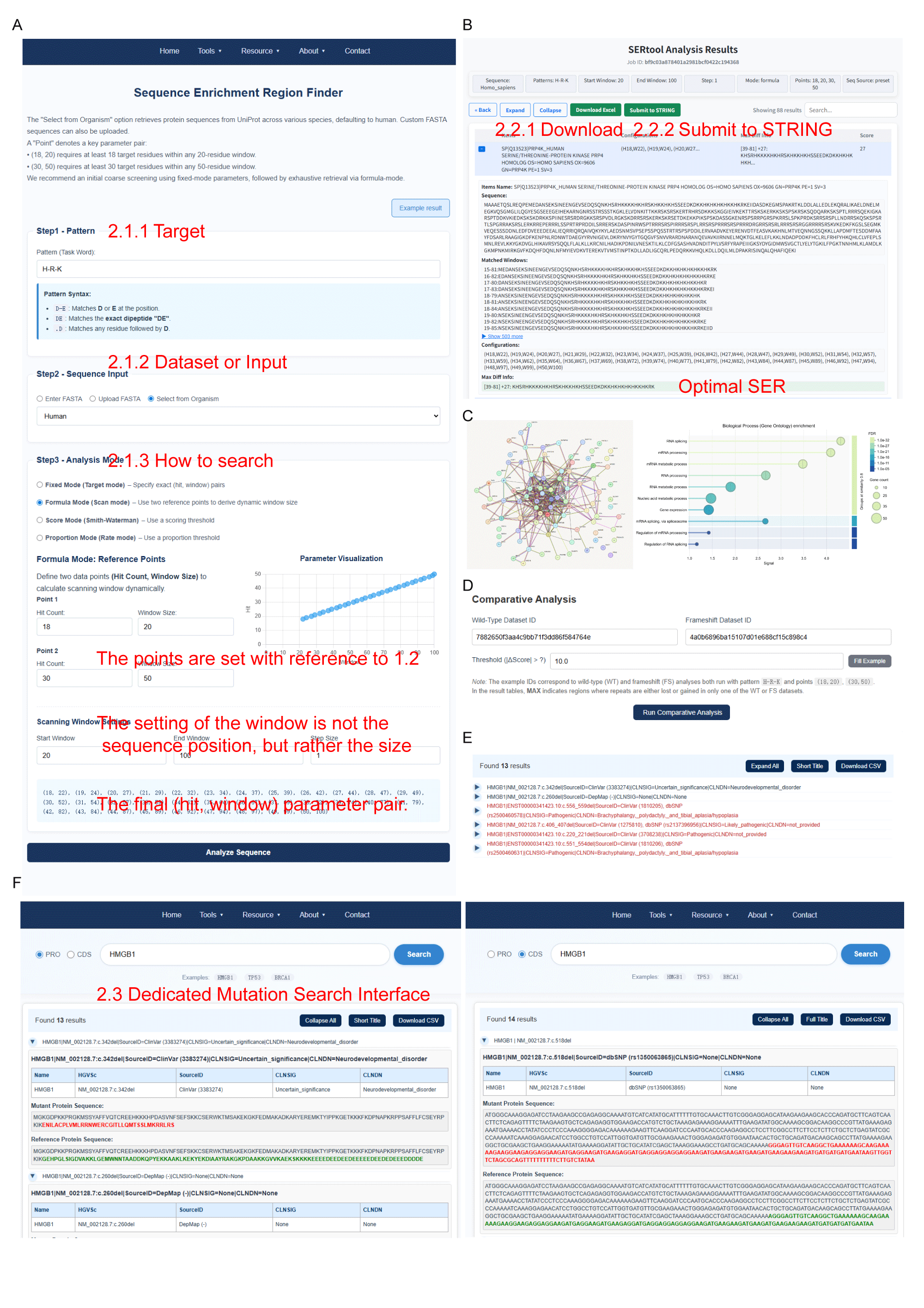 Workflow of SERtool and Sample Page